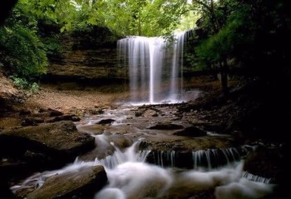 Lower Cascades Park photo 1